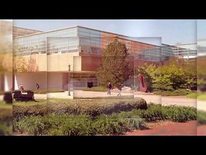 University College Degrees and Majors: Criminal Justice and Criminology