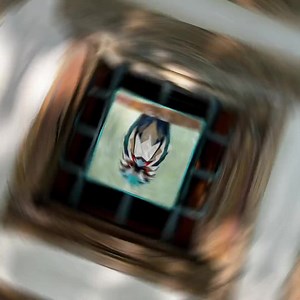 Angry Owl - Tawny Frogmouth, Australian Bird Foundation Paper Piecing Quilt Pattern, FPP Pattern, Funny Animal Patchwork Pattern - Etsy