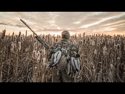 A Goose Hunt Pulled In Many Directions