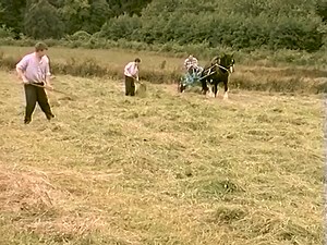 673K views · 9.3K reactions | 퐓퐡퐞 퐨퐥퐝 퐝퐚퐲퐬 퐨퐟 퐈퐫퐢퐬퐡 퐅퐚퐫퐦퐢퐧퐠 퐋퐢퐟퐞 part 1 | This is Ireland's Music | Facebook