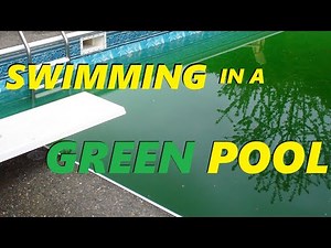 Can I Swim If My Pool Water Is Green?