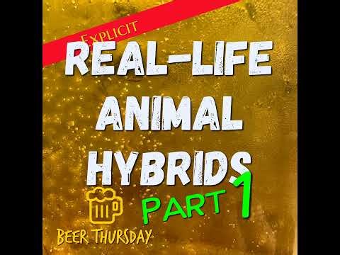 Hybrid Hilarity: Platypuses, Ligers, and Other Unlikely Cuddly Monsters