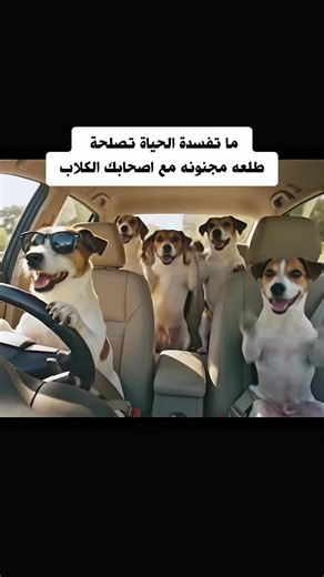 ‏#creatorsearchinsights #dubai_dxb_uae