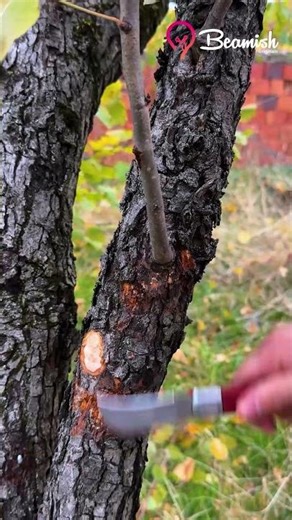 Easy DIY Tricks and Simple Solutions for Daily Life #easy #useful #practical #tricks