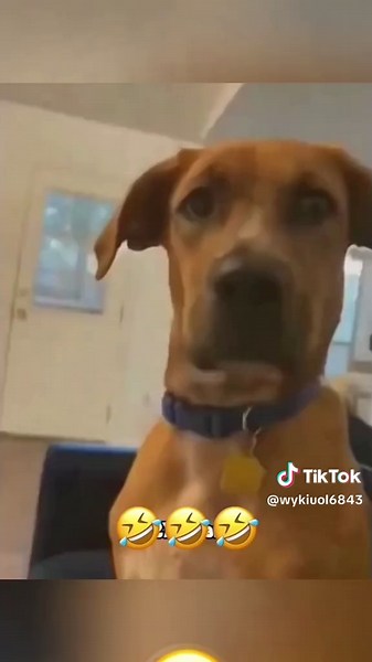 #prank #funny #funnyvideo #fun | Funny Prank