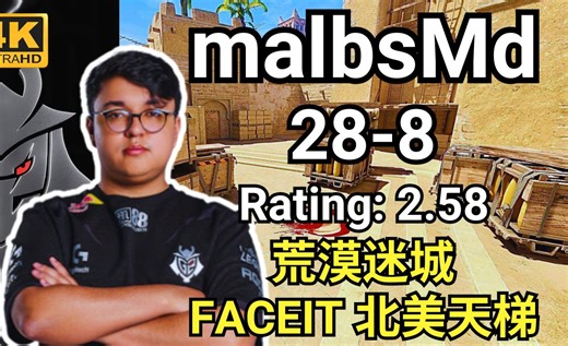 北美天梯炸鱼~malbsMd (28-8) rating:2.58 (荒漠迷城) | FACEIT天梯 | 2024.08.28 | CS2 POV/DEMO