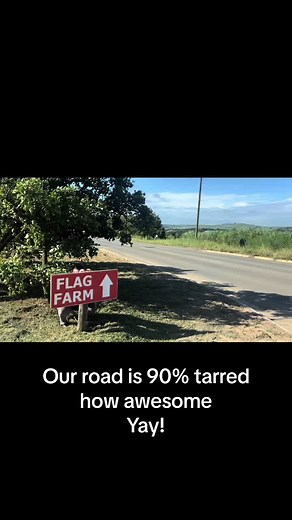 Flag Animal Farm on TikTok