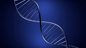 Download Twisting 3d spiral of dna. Design. Metallic structure of dna moves on isolated background. 3D animation of moving DNA. Biological or scientific animation for free