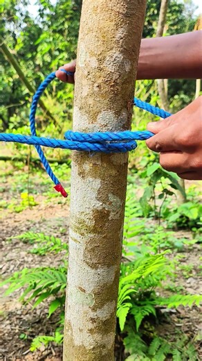 Smart Knot | Everyday Rope Ideas & Knot Hacks