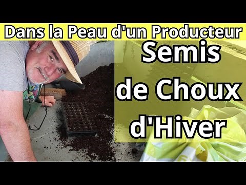 Comment Semer des Choux d'Hiver? Étape par Étape