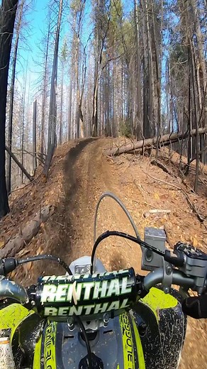 24K views · 280 reactions | Yamaha Raptor 700 sport quad trail riding | TrailBlogger | Facebook