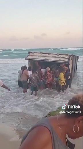 Chickens Fall from Container Ship: A Funny Incident