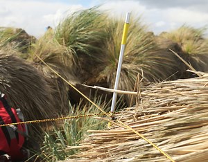 Peat Wetlands Project - Falklands Conservation