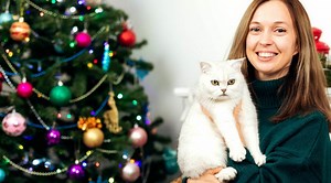 Här är växterna som kan bli en dödsfälla för din katt i jul – hela listan