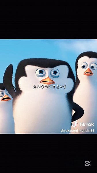 #ペンギンズ #HALVES @HALVES