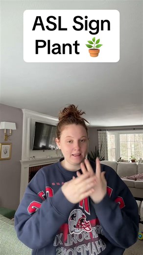Learn How To Sign "Plant" in ASL for Beginners | American Sign Language #shorts
