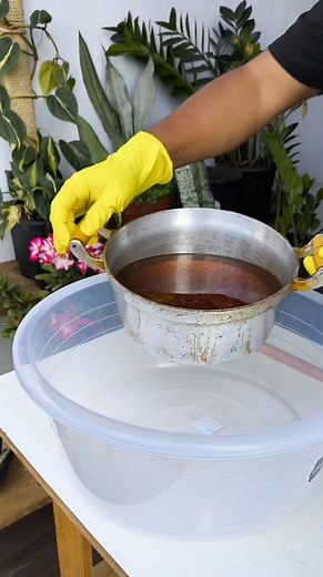 675K views · 6.4K reactions | como fazer sabão caseiro | cultivando em casa | Facebook