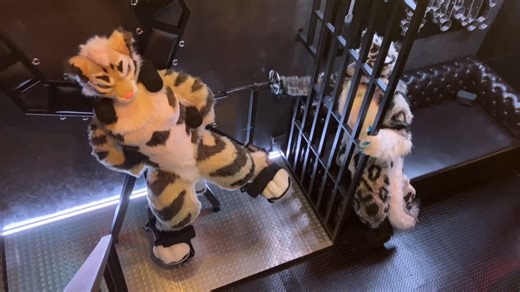 Is that an execution video ?? 👀