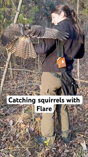 CATCHING SQUIRRELS With Flare