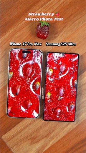 iPhone 17 Pro Max Vs Samsung S25 Ultra Macro Photo Test