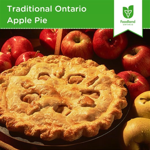 Today is National Pi Day! Celebrate today by enjoying this sweet Apple Pie. https://bit.ly/49oYKxM Ontario Apple Growers | Foodland Ontario