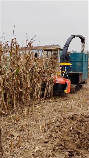 3.1K views · 22 reactions | Modern farming in action  Turning hard work into harvest with the power of technology! #cornharvest #modernfarming #farmwork #tractorlife #agriculture | Agriculture Tips | Facebook