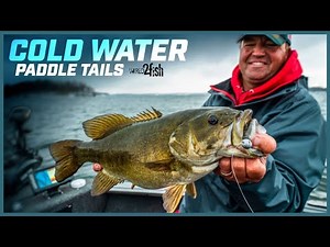 Swimbaits for Smallmouth | Fall and Winter Location, Gear, Retrieves