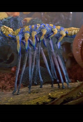 Alien Lifeforms Evolve in Hours: A Shocking Discovery