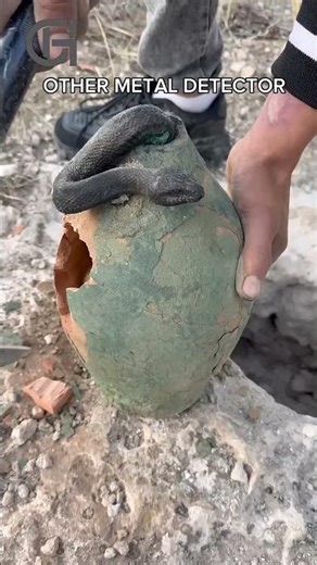 He Found a Baby Dragon?! 🐉 Unbelievable Metal Detecting Discovery!