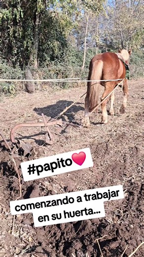 Cuentas recomendadas