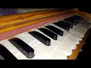 One of the Best And Finest Harmonium player Pushkar Sir Playing Harmonium Music | Swar Ashram
