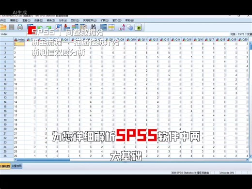 SPSS | 问卷数据分析全流程--描述性统计分析和信效度分析