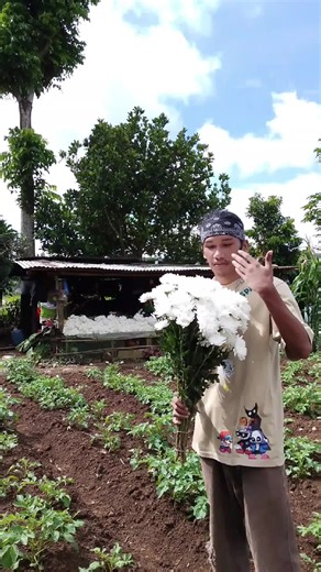 Love: A Beautiful Poem About Emotion and Nature