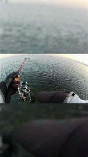 Fish Unlocked! (round scad)