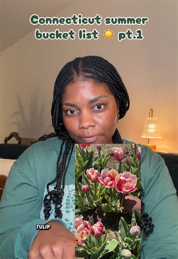 Top Things to Do in Connecticut This Summer