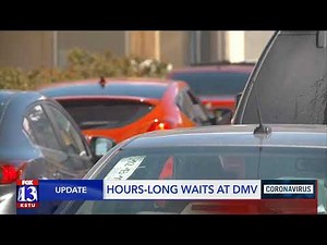 Drivers wait for hours at DMV