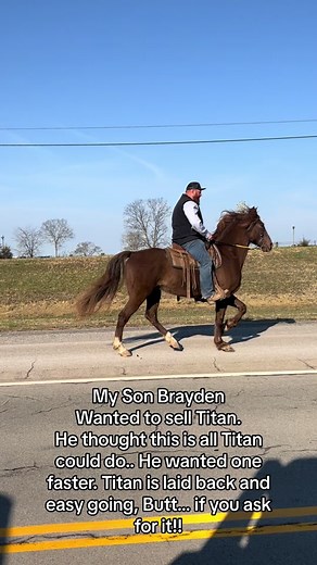 My soms gelding Titan #fyp #gaited #ewhtrailhorses #horse | Horses
