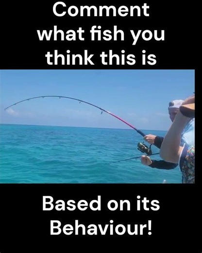 Massive Fish Lost | But what fish? #shorts