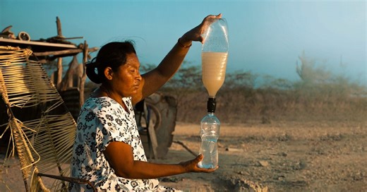 these biodegradable caps transform any PET bottle into a portable water filtration system