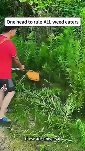  Sharp blades for cleaner cuts and faster trimming. Perfect for tackling dense grass and thick plant growth with ease! ✂️ Upgrade your yard work with our Universal Steel Wire Trimmer Head Replacement — heavy-duty, reliable, and designed to handle even the toughest weeds. ⚙️ Say goodbye to slow, frustrating trims and hello to quick, precise results! Shop now https://t.site/4kVCXTK | Imagnaryto&XP | Facebook