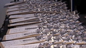 Do You Need ID to Vote in Illinois? Here's What You Should Bring With You