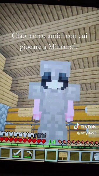 Ciao!! , sono Sofia , gioco a Minecraft da poco e vorrei tantissimo giocarci con qualcuno ,se vi interessa scrivetemi nei dm!!