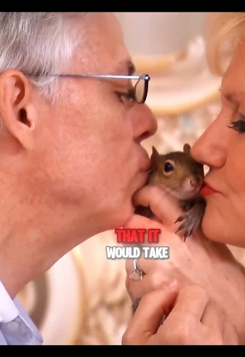 Amazing Squirrel Fashion: Spending 5 Million on Clothes