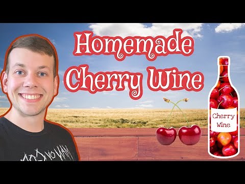 Making Home Made Cherry Wine | 1 gal How To #winemaking #homebrew