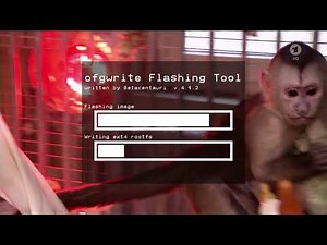 Octagon SF8008 Multiboot Image Flashing and Start