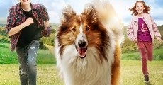 Lassie (2020)  - Ver Película Completa en Español / Castellano - FULLTV