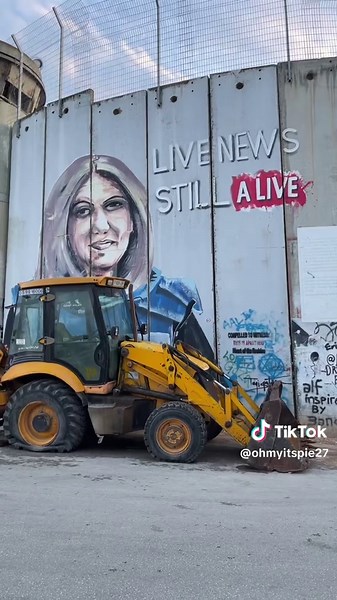 Moments in Palestine #vlog #palestine #ramallah #bethlehem #travel #travelvlog #fyp