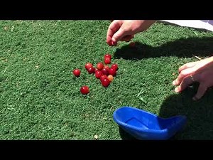 Cup Check: The Best Athletic Cups at Grape Protection