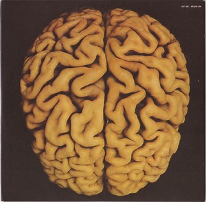 The Rip-Off Artist - Brain Salad Surgery