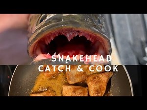 Catch & Cook Northern Snakehead - Part 2 (Clean & Cook)